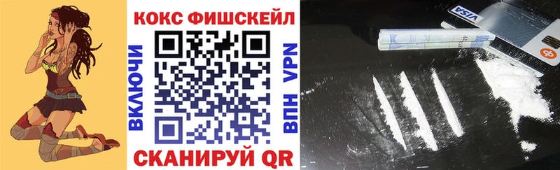 Купить  Воскресенск  COCAIN Fish Scale 