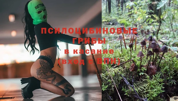 герыч Инта