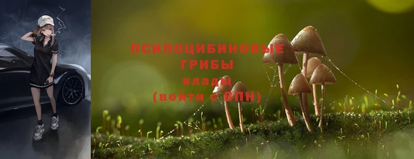 герыч Инта