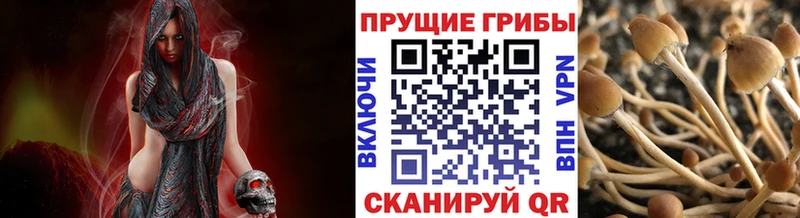 Псилоцибиновые грибы GOLDEN TEACHER  Купить  Воскресенск 